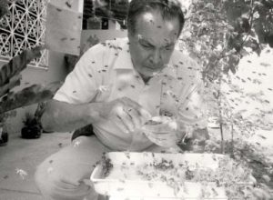 como-brasileiro-criou-‘abelhas-assassinas’-por-acidente-e-revolucionou-a-apicultura