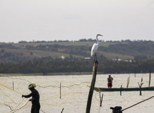 gestao-do-seguro-defeso-passa-oficialmente-ao-ministerio-do-trabalho