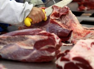 secretario-da-agricultura-diz-que-medida-dos-eua-e-“excelente”-para-brasil