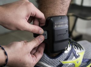 camara-aprova-aumento-de-prisao-temporaria-de-5-para-15-dias