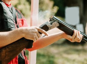 justica-do-df-suspende-decisao-que-mandou-youtube-excluir-videos-referentes-a-caca-de-animais-silvestres-no-brasil