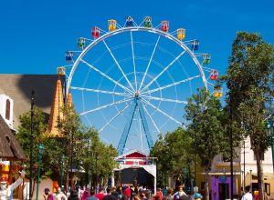 retomada-do-hopi-hari-nao-e-voo-de-galinha,-diz-especialista