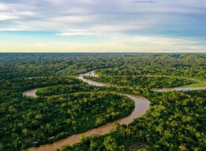premio-jovem-cientista-reconhece-iniciativas-de-combate-a-mudanca-do-clima;-conheca-os-ganhadores