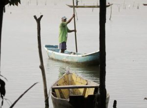 seguro-defeso-comeca-a-ser-pago-dia-17;-primeira-etapa-soma-r$-76-mi