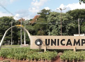 unicamp-aprova-graduacao-de-ia-com-enfase-em-tres-areas;-saiba-quais