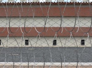 vorcaro-chega-a-brasilia-em-voo-da-pf-e-vai-para-presidio-federal