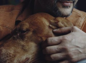 estudos-sugerem-que-animais-de-estimacao-mantem-seus-donos-mais-saudaveis