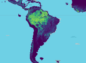 lancamento-da-meta-usa-ia-para-monitorar-saude-de-arvores-e-florestas;-veja-imagens