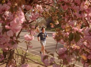 parou-de-correr,-mas-quer-retomar-o-treino?-veja-dicas-para-voltar-aos-poucos
