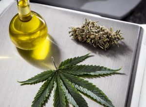 canabidiol-mostra-potencial-para-reverter-danos-do-alzheimer-em-estudo-experimental