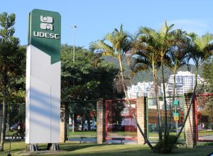 stf-tem-4-votos-pela-inconstitucionalidade-da-lei-de-sc-que-proibe-cotas-raciais-em-universidades