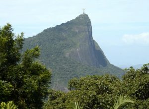 estudo-mostra-o-impacto-das-jaqueiras-na-mata-atlantica