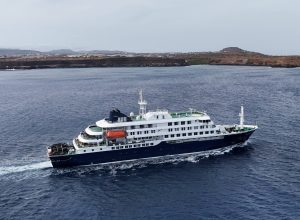 hantavirus,-covid,-norovirus:-por-que-os-navios-de-cruzeiro-sao-tao-suscetiveis-a-surtos-de-doencas?