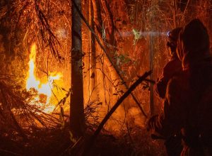 mp-libera-mais-de-r$-337-milhoes-para-combate-a-incendios-florestais