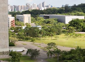 usp-e-mais-brasileiras-caem-em-ranking-de-universidades-e-pais-segue-fora-do-top-100;-veja-lista