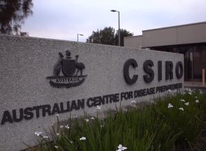 australia-relata-segundo-caso-de-gripe-aviaria-h5n1-em-menos-de-uma-semana