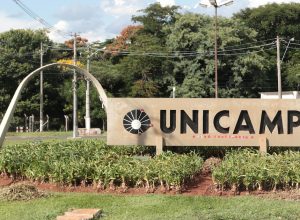 alem-da-usp:-quais-sao-as-universidades-brasileiras-que-se-destacaram-nos-rankings-globais