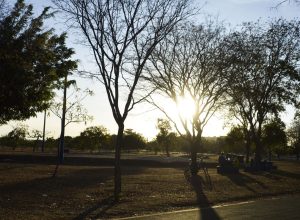 calor-e-chuva-persistem-em-grande-parte-do-pais