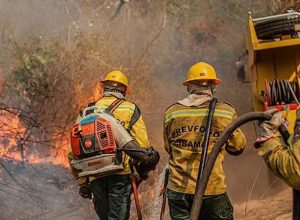 queimadas-levam-36-cidades-do-am-a-reconhecer-situacao-de-emergencia