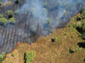‘mudancas-climaticas’-ou-‘mudanca-climatica’?-por-que-a-diferenca-entre-singular-e-plural-faz-diferenca