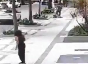 professora-aposentada-da-ufrj-e-baleada-em-assalto-na-zona-sul-do-rio