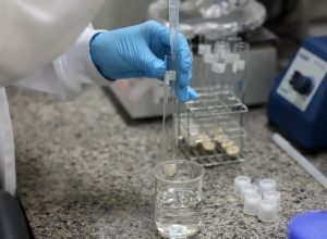 doenca-de-newcastle:-protocolos-sanitarios-sao-cumpridos-em-sc